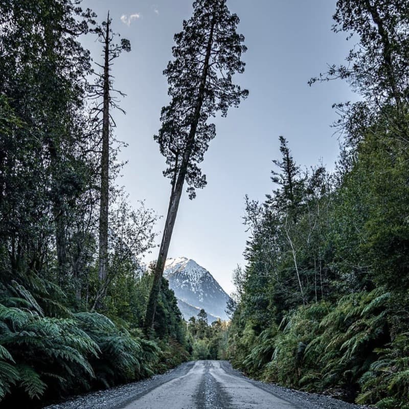Imagen del Parque Nacional Pumalin